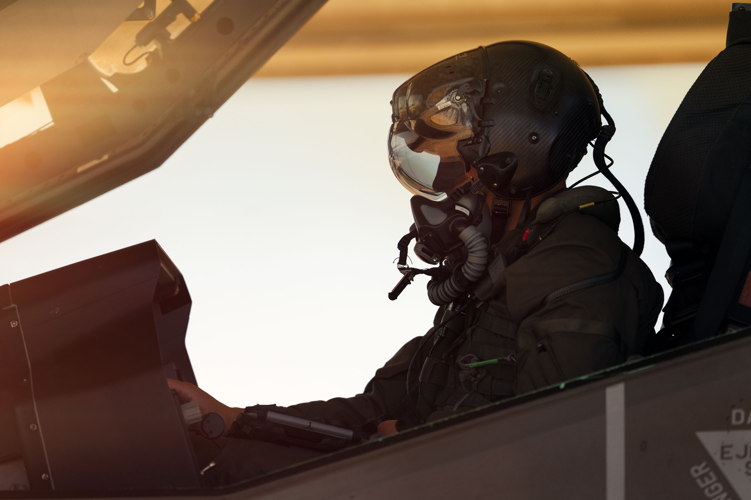 310th Fighter Squadron image 011